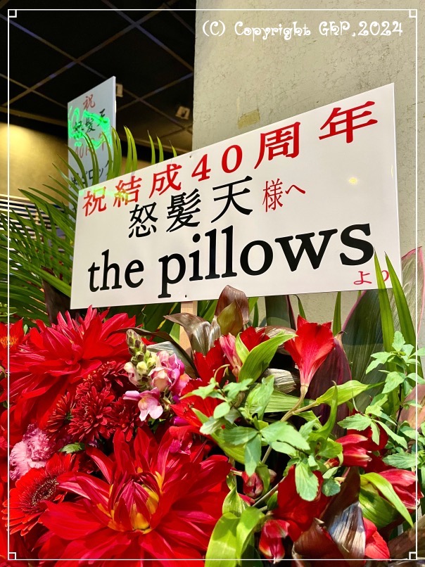 盟友the pillows