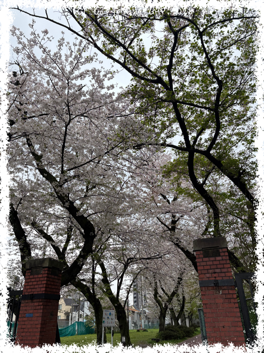 赤煉瓦酒造工場・醸造試験所跡地公園の入り口 赤煉瓦酒造工場・醸造試験所跡地公園の入り口