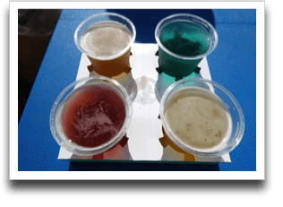 ビール４種類呑み比べ